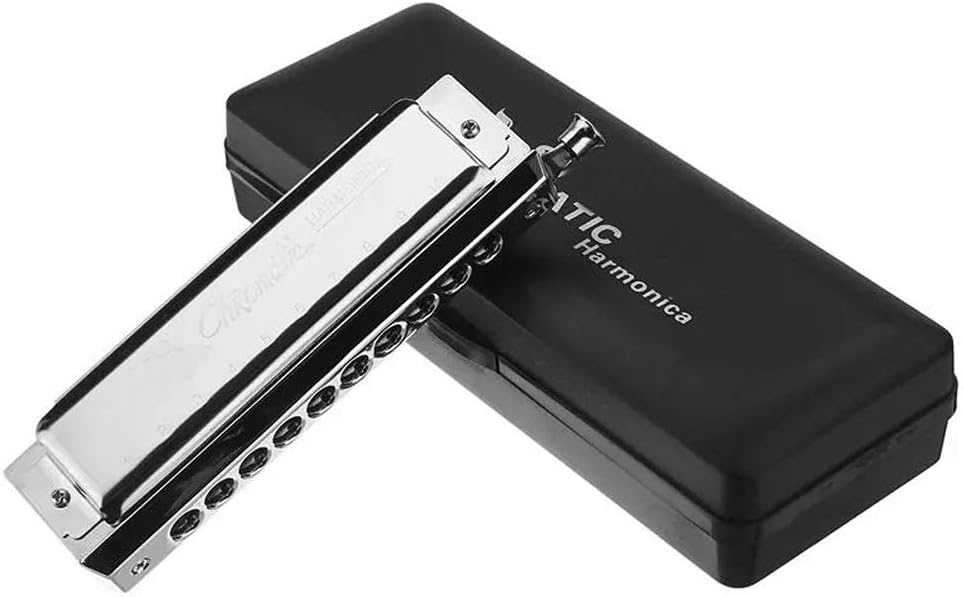 – Harmonica 40 Tones Rounded Mouthpiece Chromatic Harmonica 10 Holes With harmonic box (Color : Silver, Size : 10 Holes)