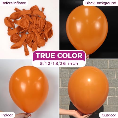 Image of Bezente Burnt Orange Balloons Latex Party Balloons 150 Pack 5 inch