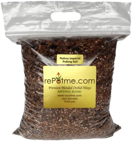 Pothos/Ivy Potting Soil for Indoor Plants (8 qt) by rePotme