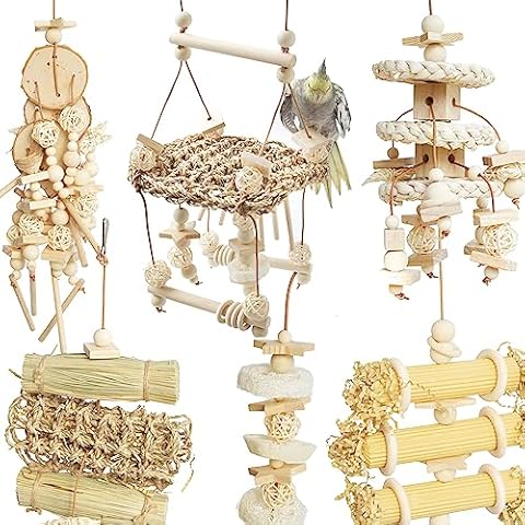Wepets 6PCs Natural Bird Chewing Shredding Foraging Toys, Bird Swing Toy with Bird Perch for Cockatiels, Parrotlets, Cockatiels, Conures, Parakeets, Budgies, Love Birds and More Cover