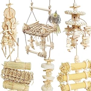6PCs Natural Bird Chewing Shredding Foraging Toys, Bird Swing Toy with Bird Perch for Cockatiels, Parrotlets, Cockatiels, Conures, Parakeets, Budgies, Love Birds and More