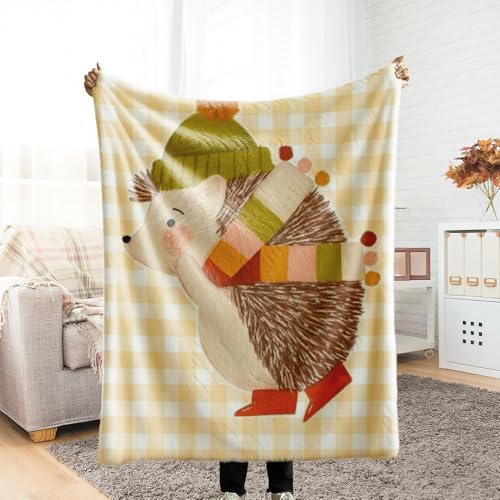 ѕz VO ӂӂ uPbg blanket for winter G| ͂˂ݕ ~ Ƃӂ blanket for all season Ђ| ~p  Ódh~ y ΍ Ȃ߂炩 lGKp