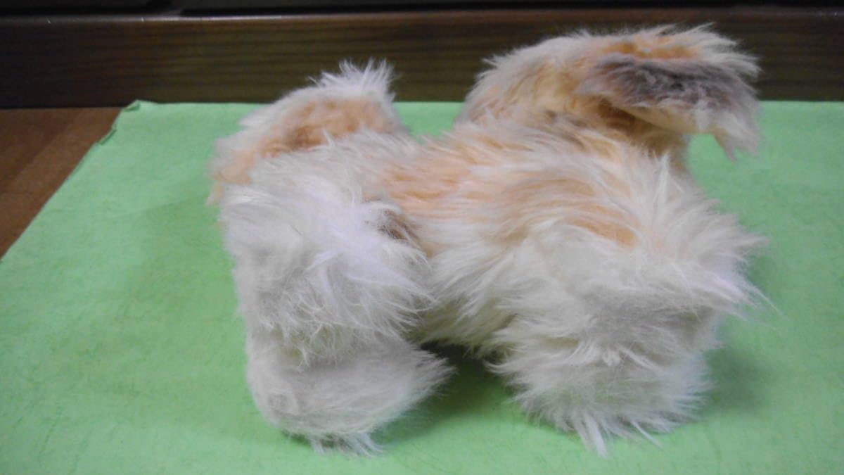 meiji 犬 ぬいぐるみ Amazon.co.jp: Meiji 懸賞品 ぬいぐるみ 犬 いぬ イヌ Tokyo JAPAN