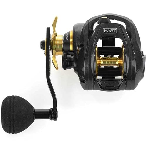 Hart Fishing Hart Izan Jig Moulinet 10+1bb-6 pour la pêche Sportive pour améliorer Les Performances à Chaque Utilisation avec détail Technique 10+1bb-6 3