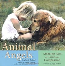 Animal Angels: Amazing Acts of Love and Compassion