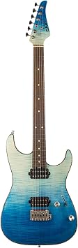 EART EYP-Elite Soild Body Electric Guitar with Roasted Mahogany Custom Artones-HBC115 Pickups NK-Arch-Top Body