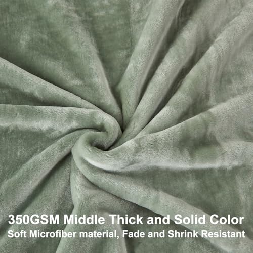 Image of JYK Fleece Plush Blanket - 3.5 LB, 1 Ply, Korean Mink, Queen 79 inch x 91 inch - Super Soft and Warm, Lightweight, Cozy Fuzzy Solid Color Green
