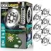 Disk Lights Solar-Powered Auto On/Off Outdoor Lighting As Seen On TV (Set of 8; Regular)