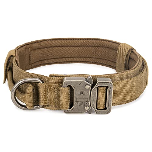 Find The Best Collar For Big Dogs Reviews & Comparison Katynel