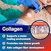Collagen Wound Dressing Particles, 1 Gram - 5 Pouches of Collagen Powder for Wound Healing - Good for Burns, Scrapes, and Blisters - for Minimal to Heavy Exudate and Partial to Full Thickness Wounds