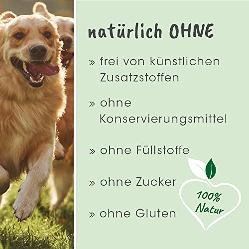 dentaVet Anti-Plaque Pulver 50g für Hunde und Katzen - Natürliche Zahnpflege & Zahnreiniger gegen Zahnbelag