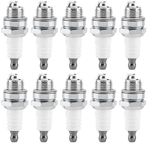 cippatrici Briggs Stratton