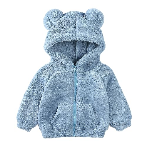 Thick Fleece Plush Hooded Coat for Kids Girls Zip Up Teddy Ears Solid Color Jacket Toddler Boys Warm Soft Outwear