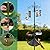Bird Feeding Station Kit with Squirrel Baffle Bird Feeder Pole with Suet Cage Mesh Tray Fruit Hook Double W Hook for Attracting Wild Birds and Hanging Planter Hanger Lights