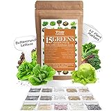 15 Heirloom Lettuce & Leafy Vegetable Seeds | 4000+ Seeds | Non GMO Bulk Lettuce Seeds for Planting...