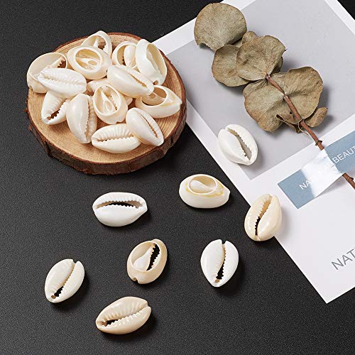 Craftdady 18-20Mm Natural Spiral Sea Shell About 340Pcs Undrilled Cowrie Beach Seashells For Summer Ocean Jewelry Making Fish Tank Vase Filler Decor #TOP6