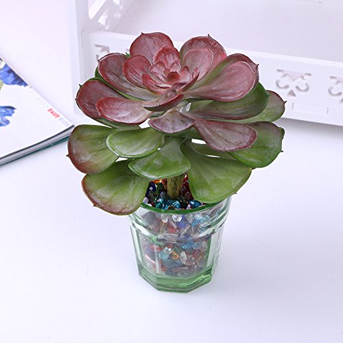 Lopkey Plastic Fake Large Succulents Artificial Plants Set Of 2 #TOP5
