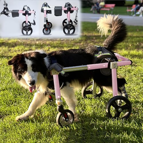 Generico Carrozzina per Cani Carrozzina per Cani di Grossa Taglia