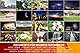 Fotokarten Fotorezepte | 20 Fotografie-Spickzettel mit Kameraeinstellungen & Tipps | CheatCards für Fotografen | Checkkarte Fotografieren | FotoMotive für Einsteiger | Geschenk Hobbyfotografen