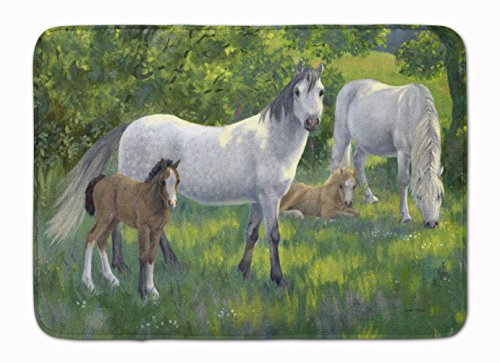 Tapis de sol groupe de chevaux multicolore lavable et résistant pour intérieur - 2