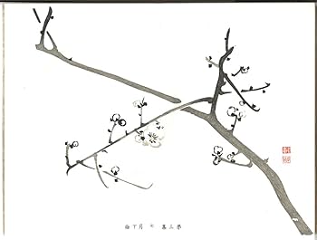 Amazon.co.jp: 習画百題(全5冊) : Gyokusyo Kawabata: 本