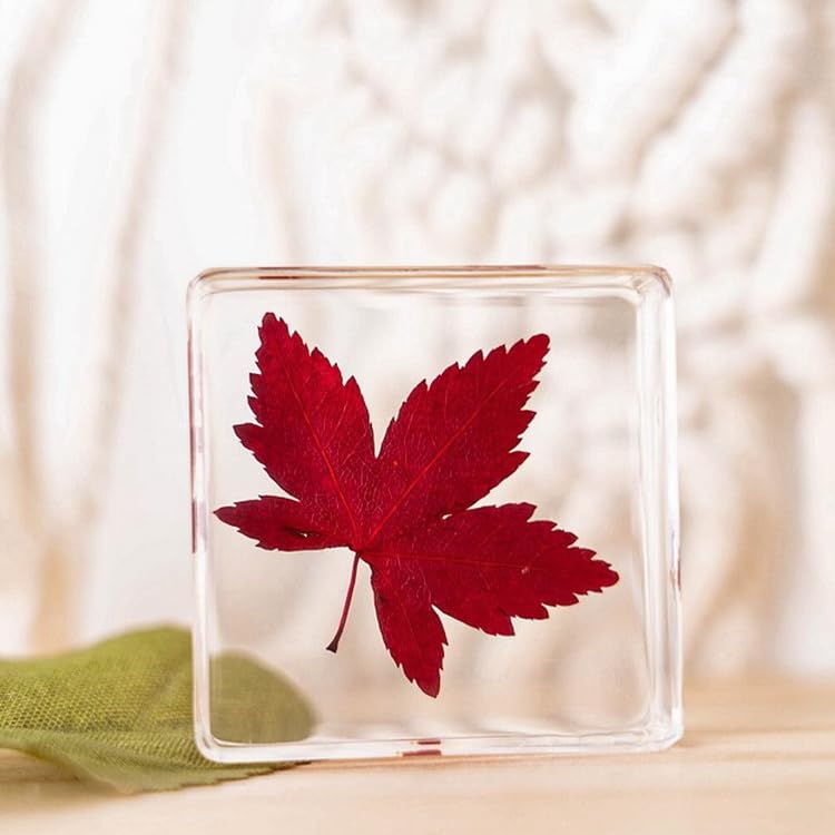 Image of 12pcs Nature Plant Flowers Specimen in Resin Preserved, Science Educational Classroom Specimens, Clear Crystal for Closer-Look & Study. Novelty Crafts Decor Ornament, Amazing Gift (1.5x1.5x0.55-inch)