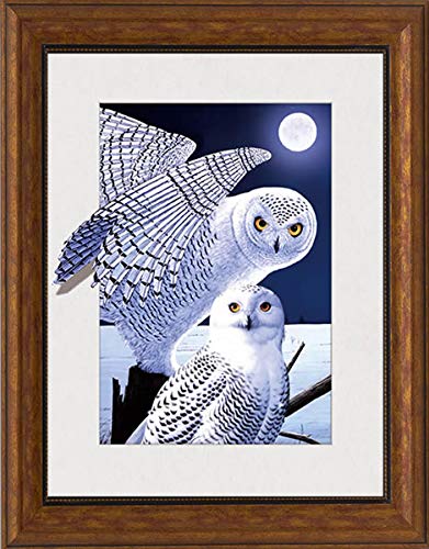 Xu's Home Decor - Two Owls Lenticular 3D Picture Animal Poster Painting Home Decor Wall Art Decor #TOP5