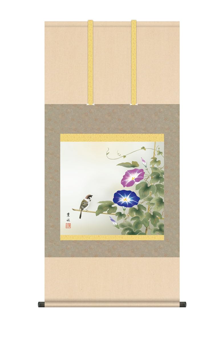 Amazon.co.jp: 掛け軸 掛軸 夏掛け 花鳥画 「 朝顔 」 緒方葉水 尺五