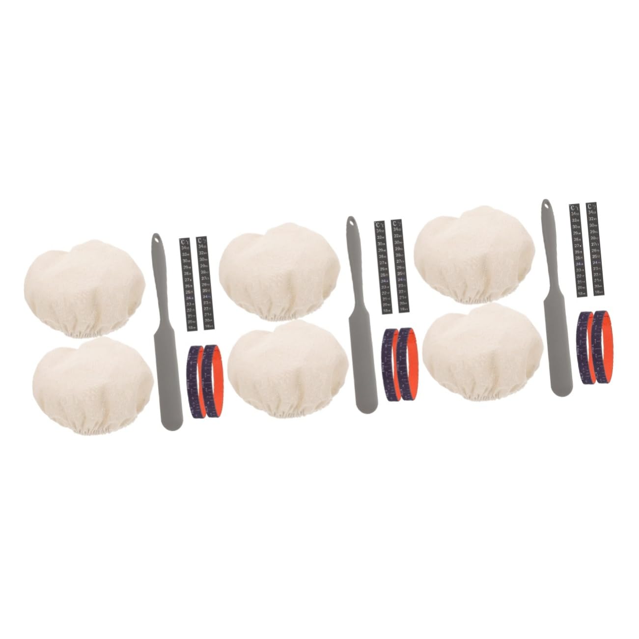 Kit fermenteur de levure Alipis pour l'avoine du jour et le levain maison