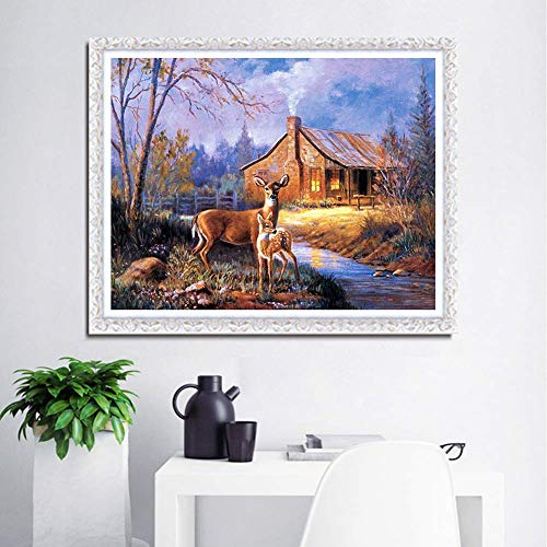 Image of HASTHIP DIY 5D Diamond Painting Kit by Numbers, Full Diamond Crystal Embroidery,Embroidery Cross Stitch Pictures,Decoration Art Crafts for Home(30 * 40CM)
