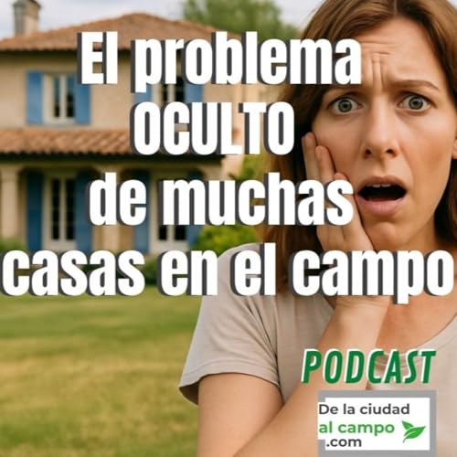『El PROBLEMÓN de las casas en el campo en España (y cómo evitarlo o NO)』のカバーアート