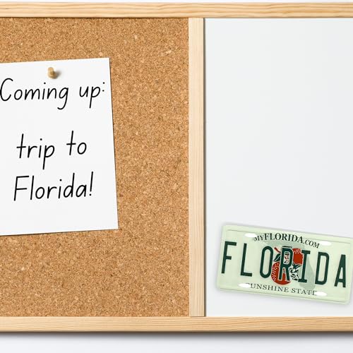 Imán decorativo de placa de Florida miniatura miniatura 4