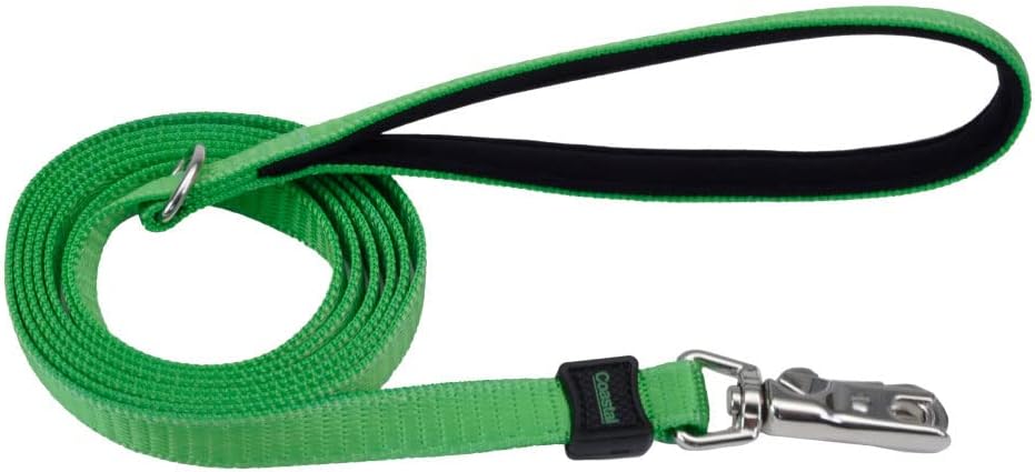 Coastal - Inspire Enhanced Core - Leash, Green, 1" x 06'