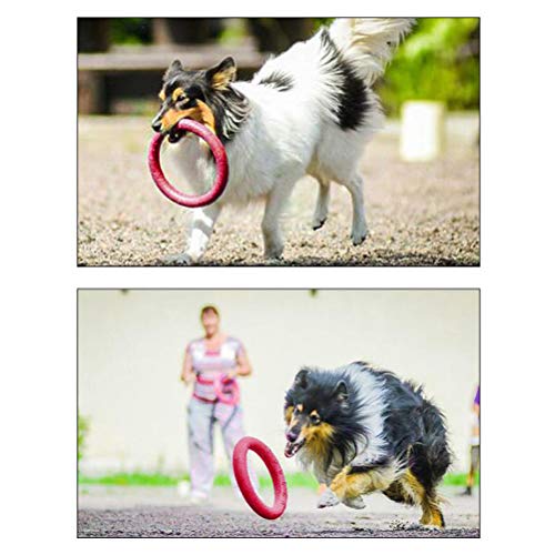 Yissma Frisbee giocattolo per cani, galleggiante