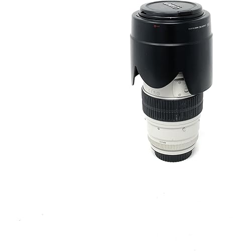 Canon EF 70-200mm f/2.8L IS USM Telephoto Zoom Lens for Canon SLR Cameras - White Box(Bulk Packaging) (Renewed)