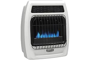 Dyna-Glo Natural Gas Blue Flame Wall Heater