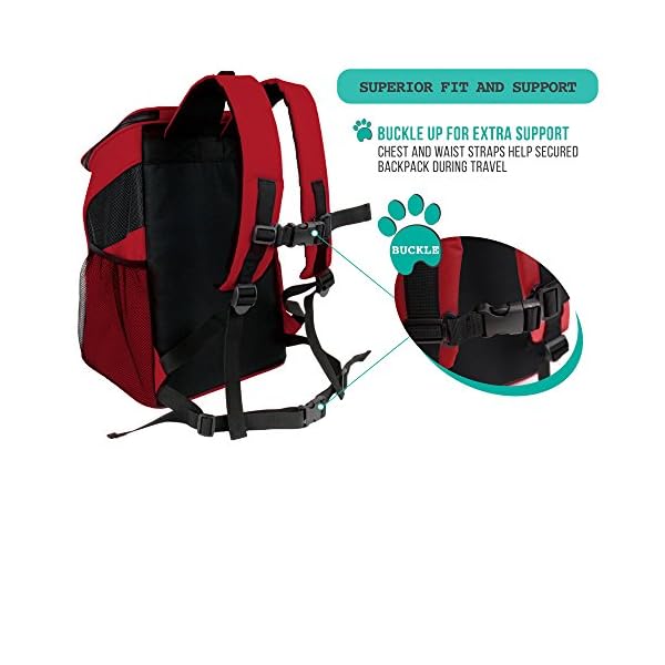 Red Dog Carrier Backpack for Outdoor Use