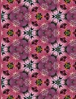 Fractal Photo Art Notebook: Pink Lily 8: A fractal image notebook made from a photo of a fresh cut pink lily flower, and filled with college ruled paper. 1731204531 Book Cover