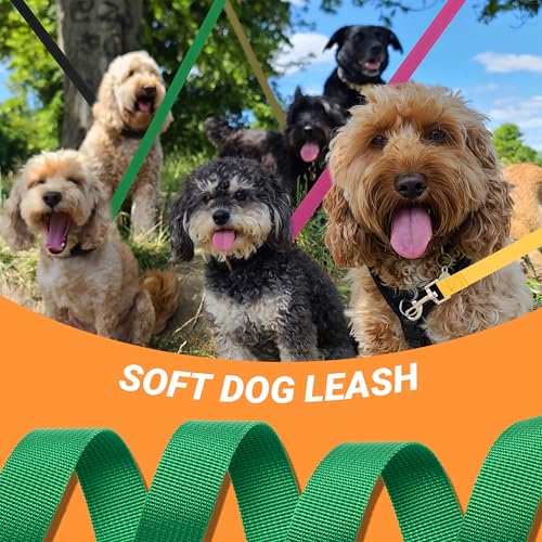 12 Pcs Dog Leashes for Small Medium Large Dogs, 6FT Lead Short Dog Leash with Swivel Hook for Walking, Training, Hiking, Rescues, Grooming, Shelter, Outdoor - Image 6