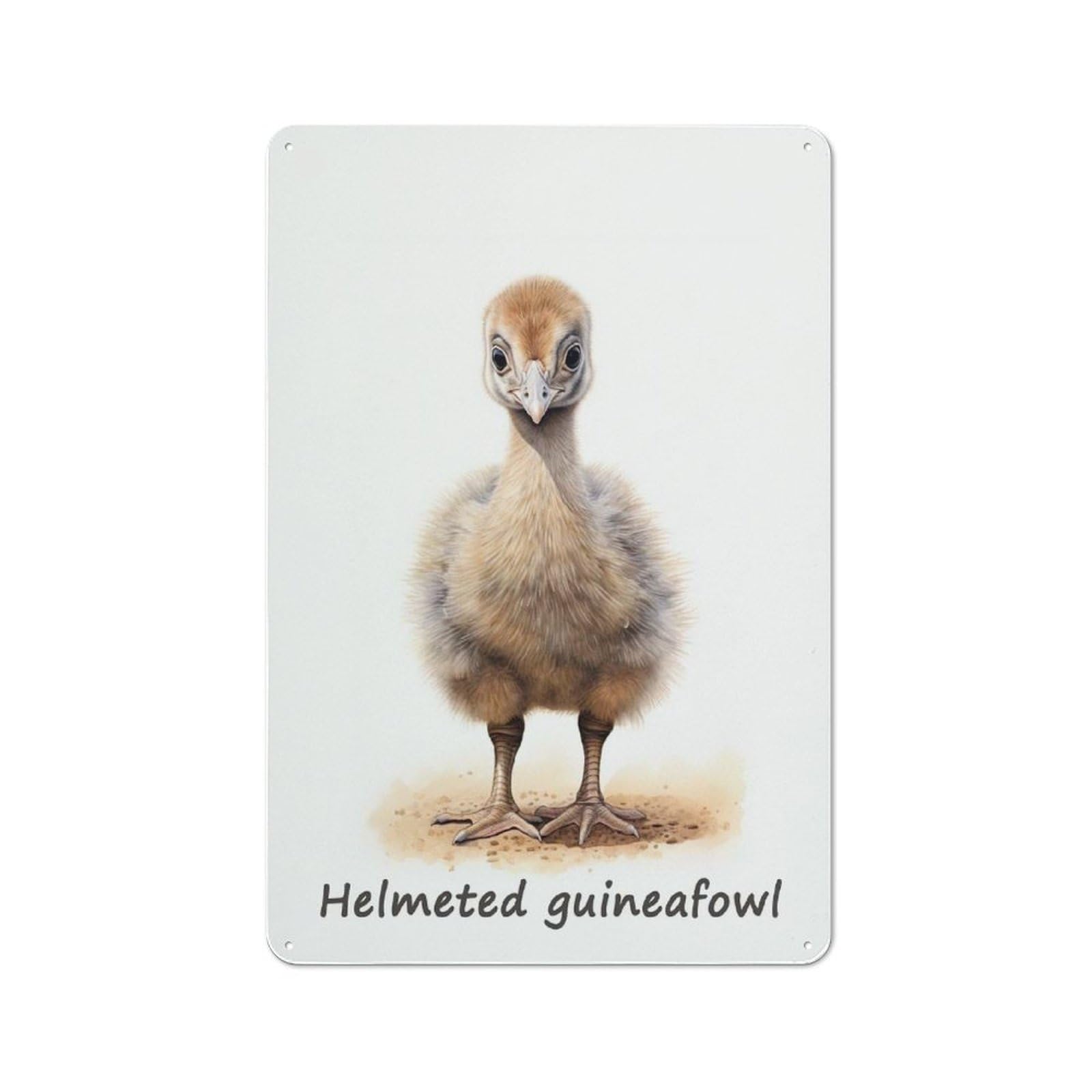 Junmoney Helmeted Guineafowl Retro Metal Wall Sign 30X20cm For Man Cave Or Games Room, A Housewarming Gift For Games Room Collectors