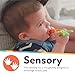 Nuby Silicone Carrot Tube Teether - Baby Teething Toy - Massaging Bristles for Sore Gums - 3+ Months