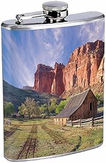 Capitol Reef National Park Flask S2 Stainless Steel 8oz Hip Silver Alcohol Whiskey Drinking Brandy Rum Utah