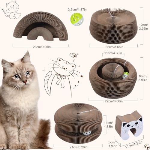 Qoosea Magische Orgel Katzenkratzbrett katzenspielzeug, Interaktive Kitten Kratzbrett Cat Toys, Magic Organ Cat Scratching Board mit Glockenball für Innen, Intelligenz Kratzpappe Katzen Spielzeug Set