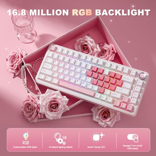 Image of YUNZII B75 PRO Wireless Mechanical Keyboard,75% Layout with Knob,Hot Swap Gasket Structure,Creamy Pre-lubed Switches,RGB Backlit,Bluetooth /Type-C /2.4G for Win /Mac (White, Milk Switch)