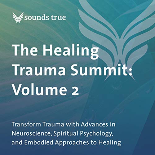 The Healing Trauma Summit: Volume 2 by Bonnie Badenoch PhD, Sandra Ingerman MA, Mark Epstein, Shaka Senghor, Dr. Gabor Maté episode artwork