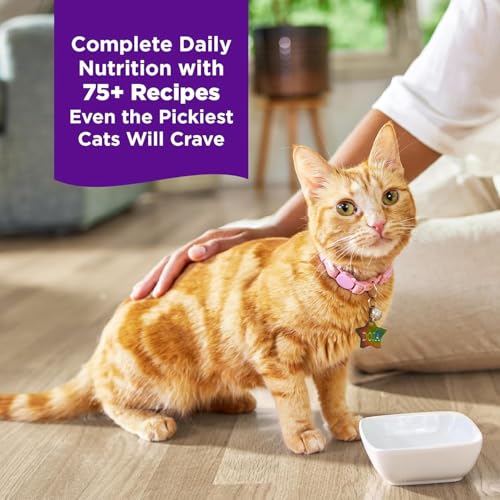 Wellness Complete Health Canned Wet Cat Food Natural, Protein-Rich Cat Food Grilled Cuts in Sauce- 12 Pack Cans Variety 4 Flavor - (Chicken,Beef, Tuna & Turkey Entrée Recipe) 3 Ounce Cans - image 8