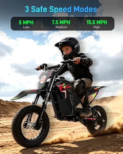 QWAYQ 36V Electric Dirt Bike