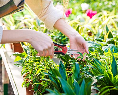 Tabor Tools 2-Pack Micro-Tip Pruners With Straight Blades And Fine Tip, Florist Scissors, Garden Snips With Stainless-Steel Non-Stick Precision Blades (2 Pack) (K27A) #TOP5