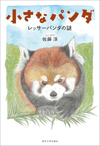 小さなパンダ レッサーパンダの謎