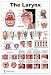 Larynx LP Poster, voice, education, vocal folds, mouth, head cutview, vocal pathology, size 24Wx36T